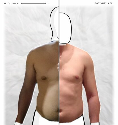 Torso Comparison