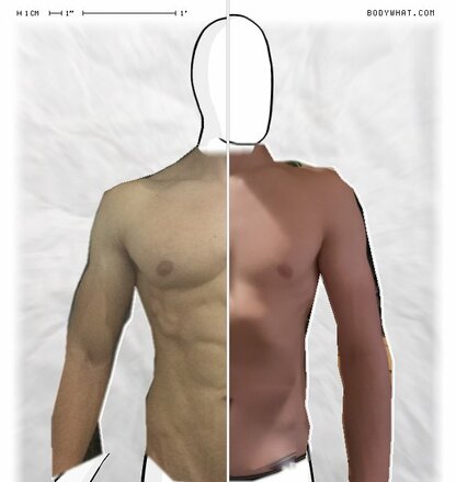 Torso Comparison