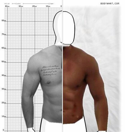 Torso Comparison