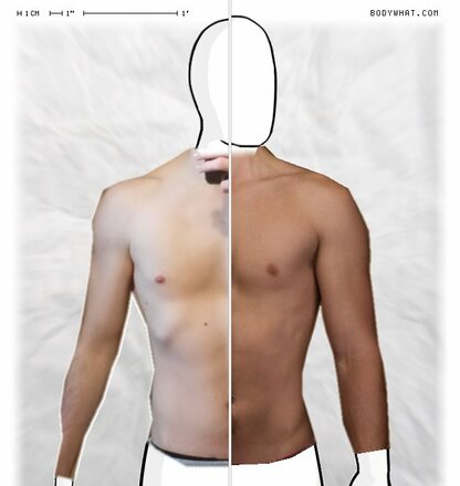 Torso Comparison