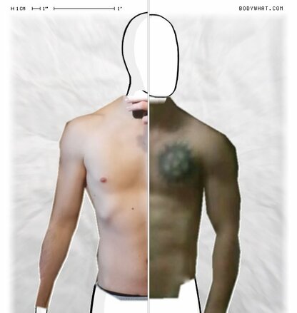 Torso Comparison