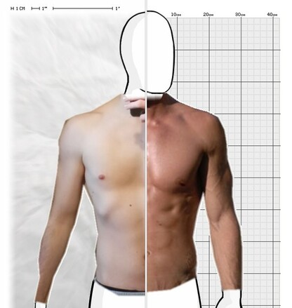 Torso Comparison