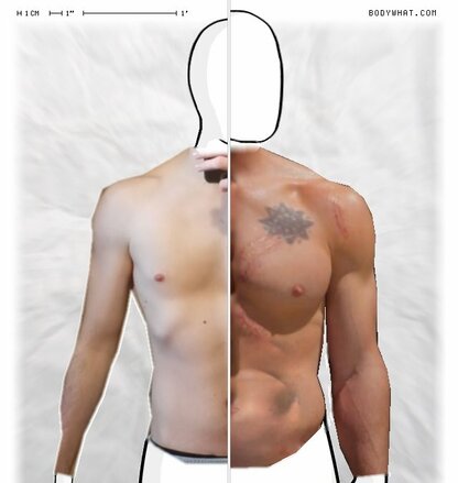 Torso Comparison