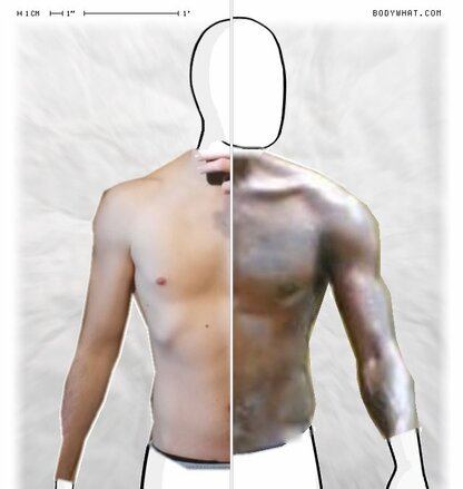 Torso Comparison