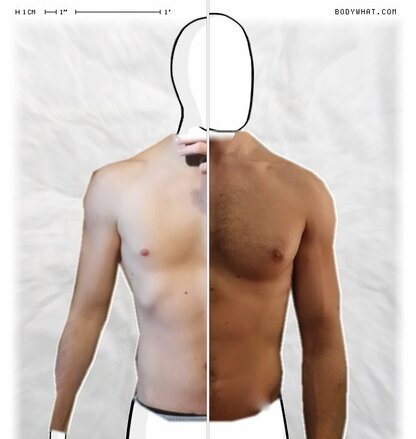 Torso Comparison