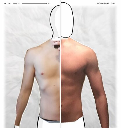 Torso Comparison