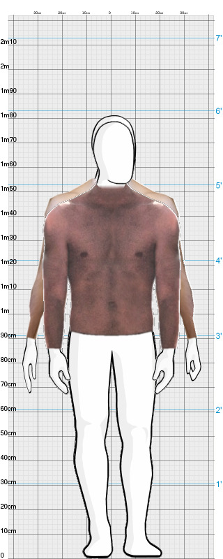 Full Size Comparison