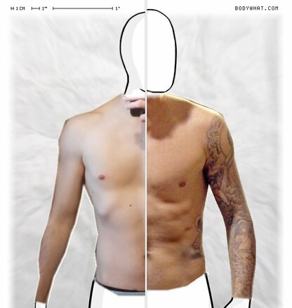 Torso Comparison