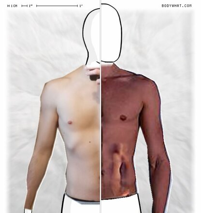 Torso Comparison