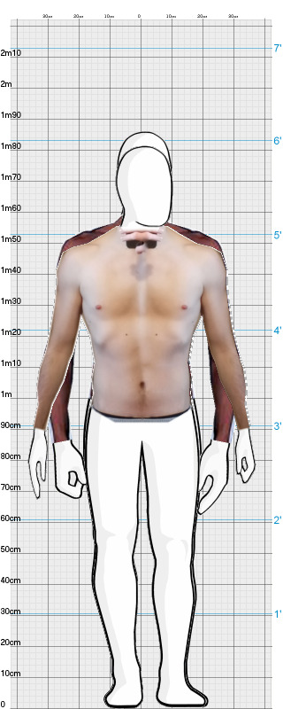 Full Size Comparison