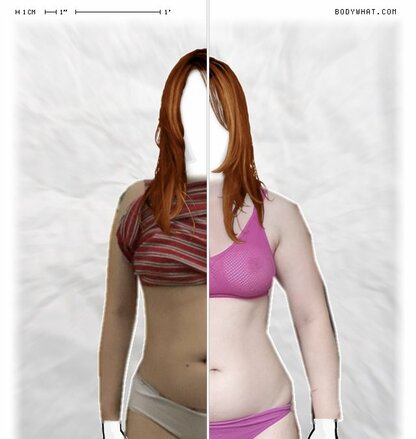 Torso Comparison