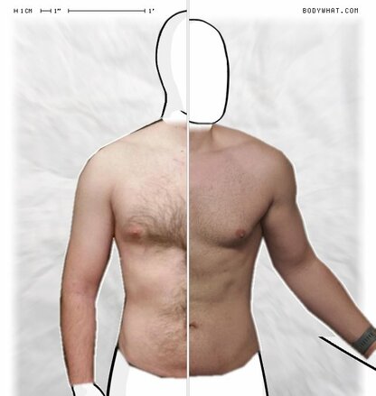 Torso Comparison