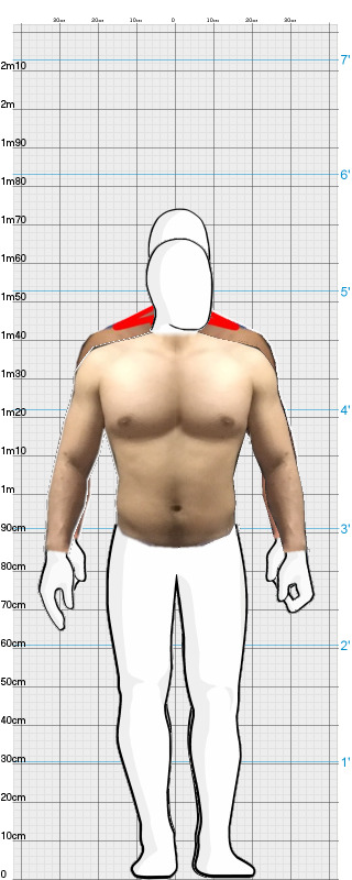 Full Size Comparison