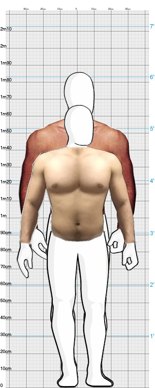 Full Size Comparison