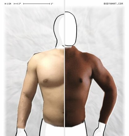 Torso Comparison