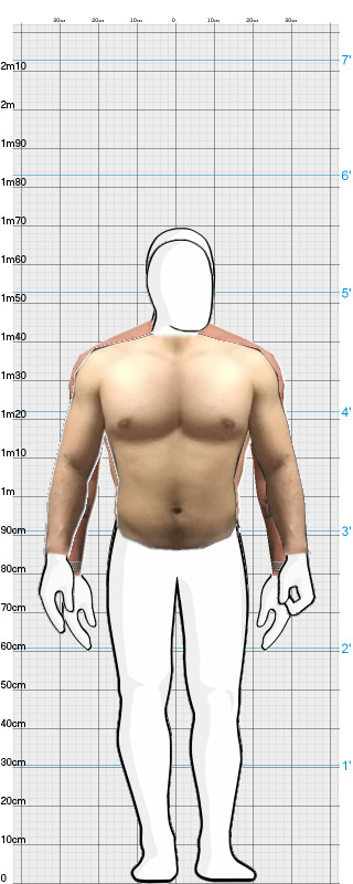 Full Size Comparison