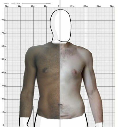 Torso Comparison