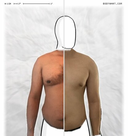 Torso Comparison