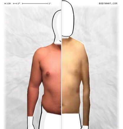 Torso Comparison
