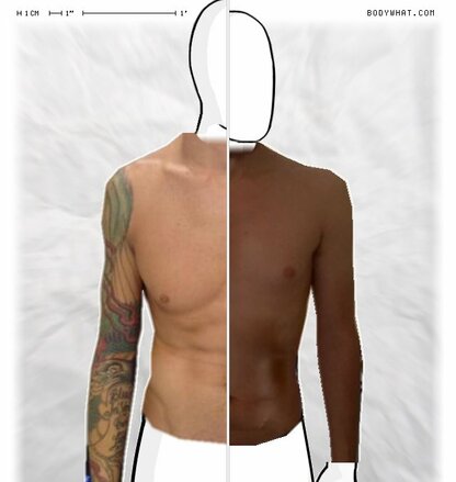 Torso Comparison