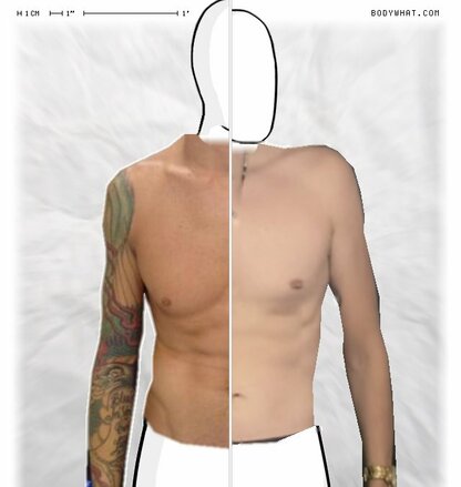 Torso Comparison