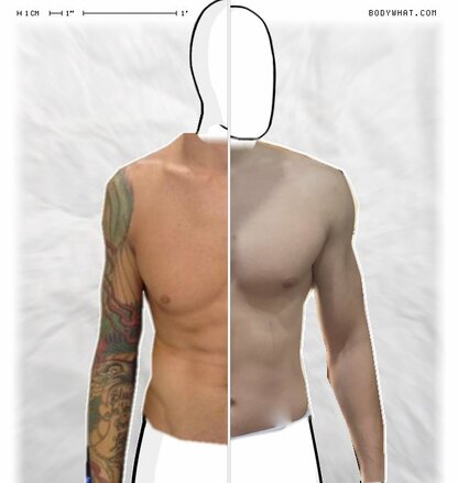Torso Comparison