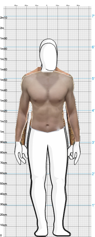 Full Size Comparison