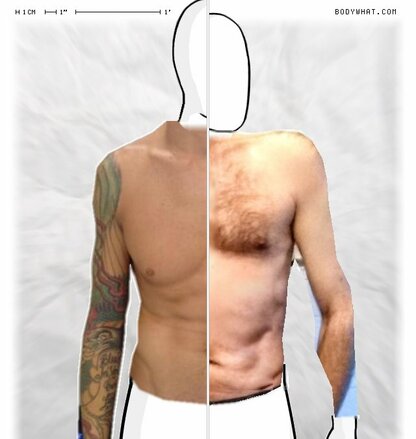 Torso Comparison