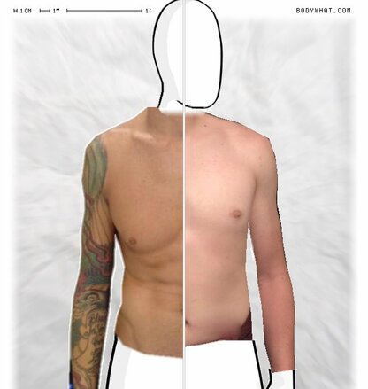 Torso Comparison
