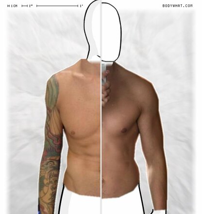 Torso Comparison