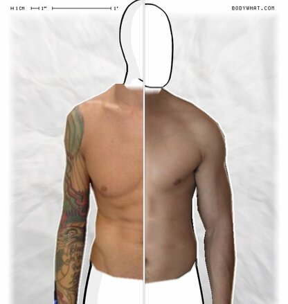 Torso Comparison