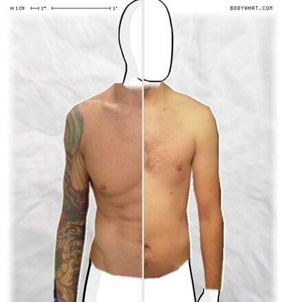 Torso Comparison