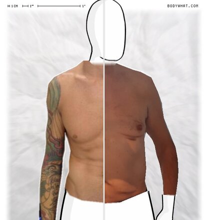 Torso Comparison