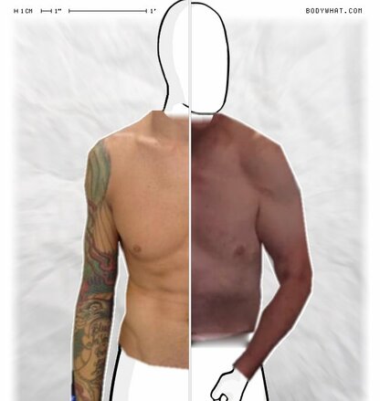 Torso Comparison