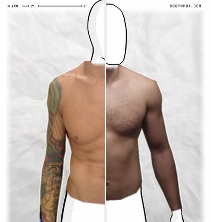 Torso Comparison