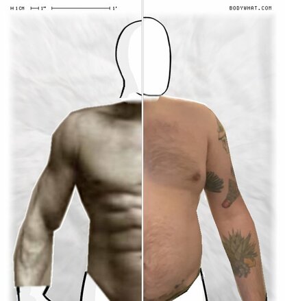 Torso Comparison