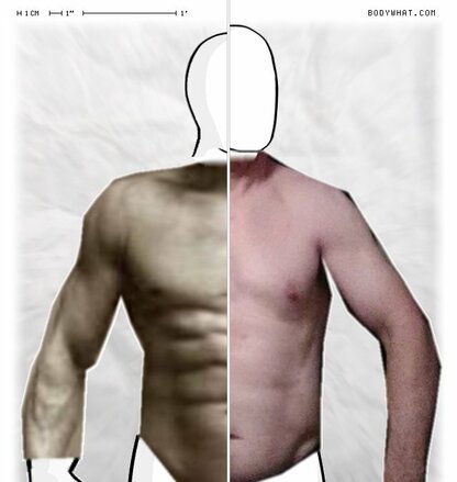 Torso Comparison