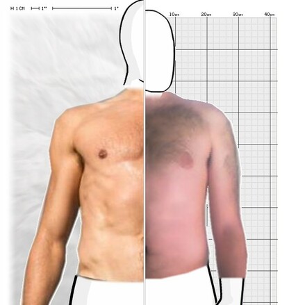 Torso Comparison