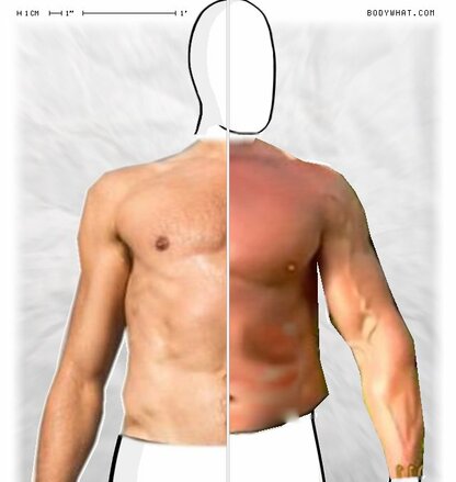 Torso Comparison