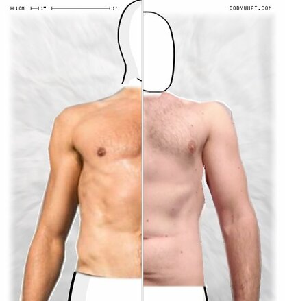 Torso Comparison