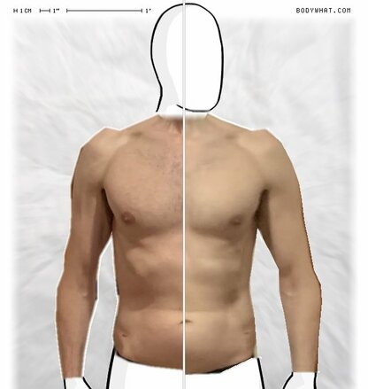 Torso Comparison