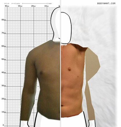 Torso Comparison