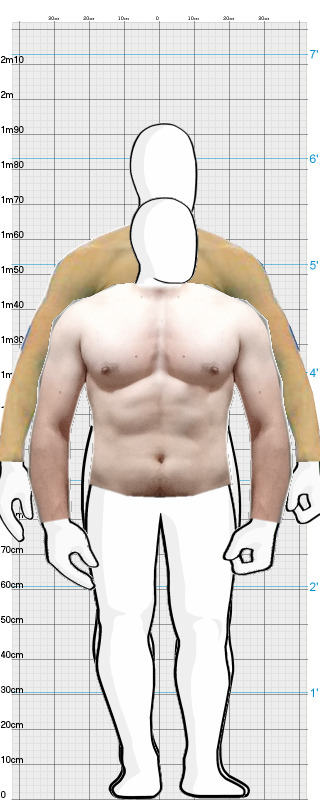 Full Size Comparison
