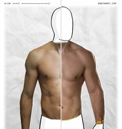 Torso Comparison