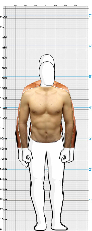 Full Size Comparison