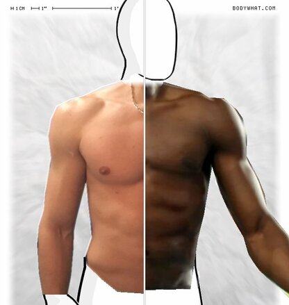 Torso Comparison