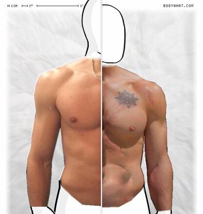 Torso Comparison