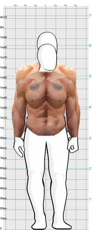 Full Size Comparison
