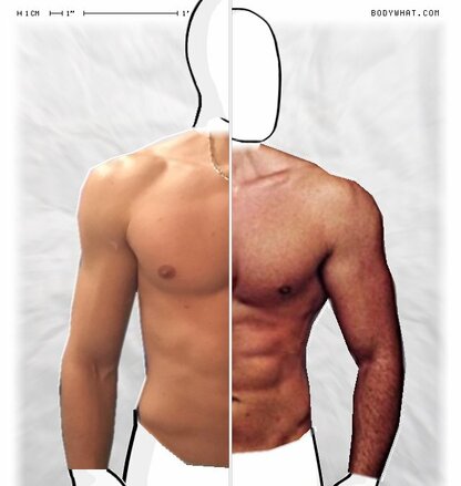 Torso Comparison