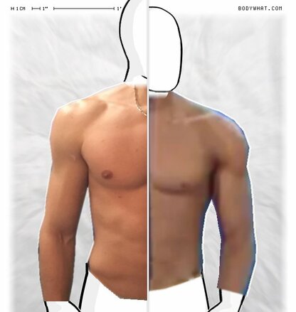 Torso Comparison